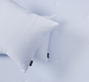 레노마 홈 시원한 쿨 소재 냉감 베개커버 모음전 아벨냉감 라이트블루, 50x70cm