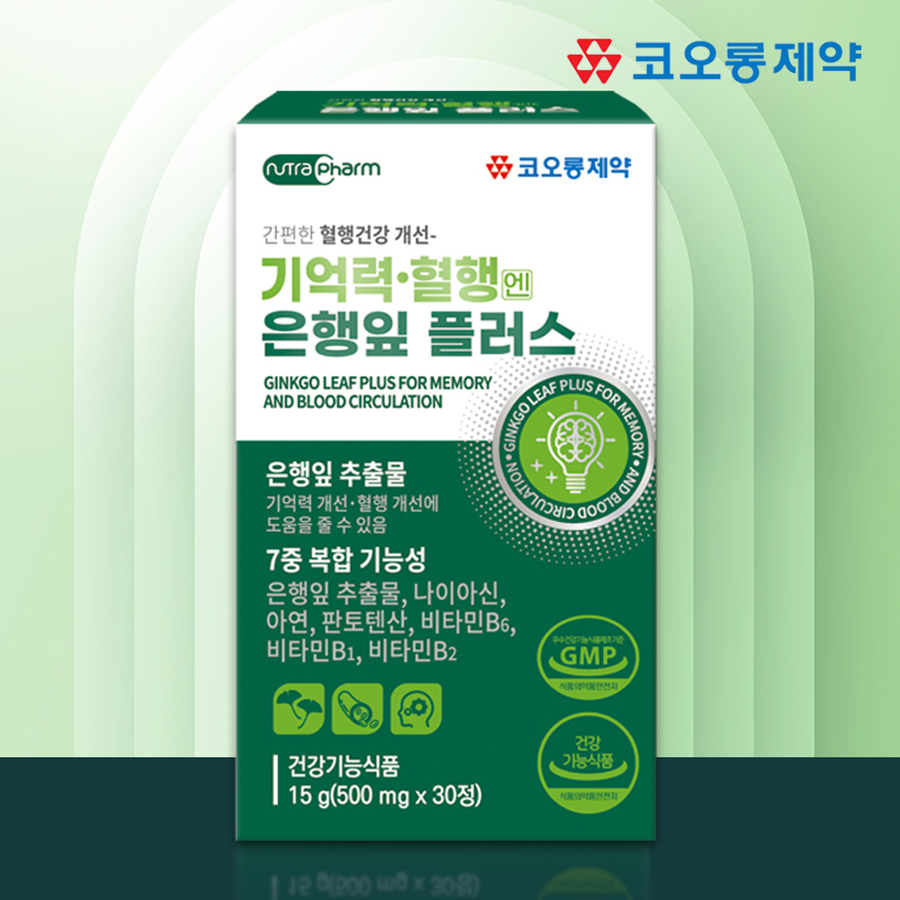 혈액순환 징코플러스 영양제 은행잎추출물 30정, 5개 이미지 2