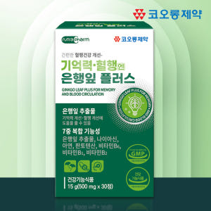 혈액순환 징코플러스 영양제 은행잎추출물 30정, 5개 맛있게 먹은 솔직 후기 - 상품 이미지 2