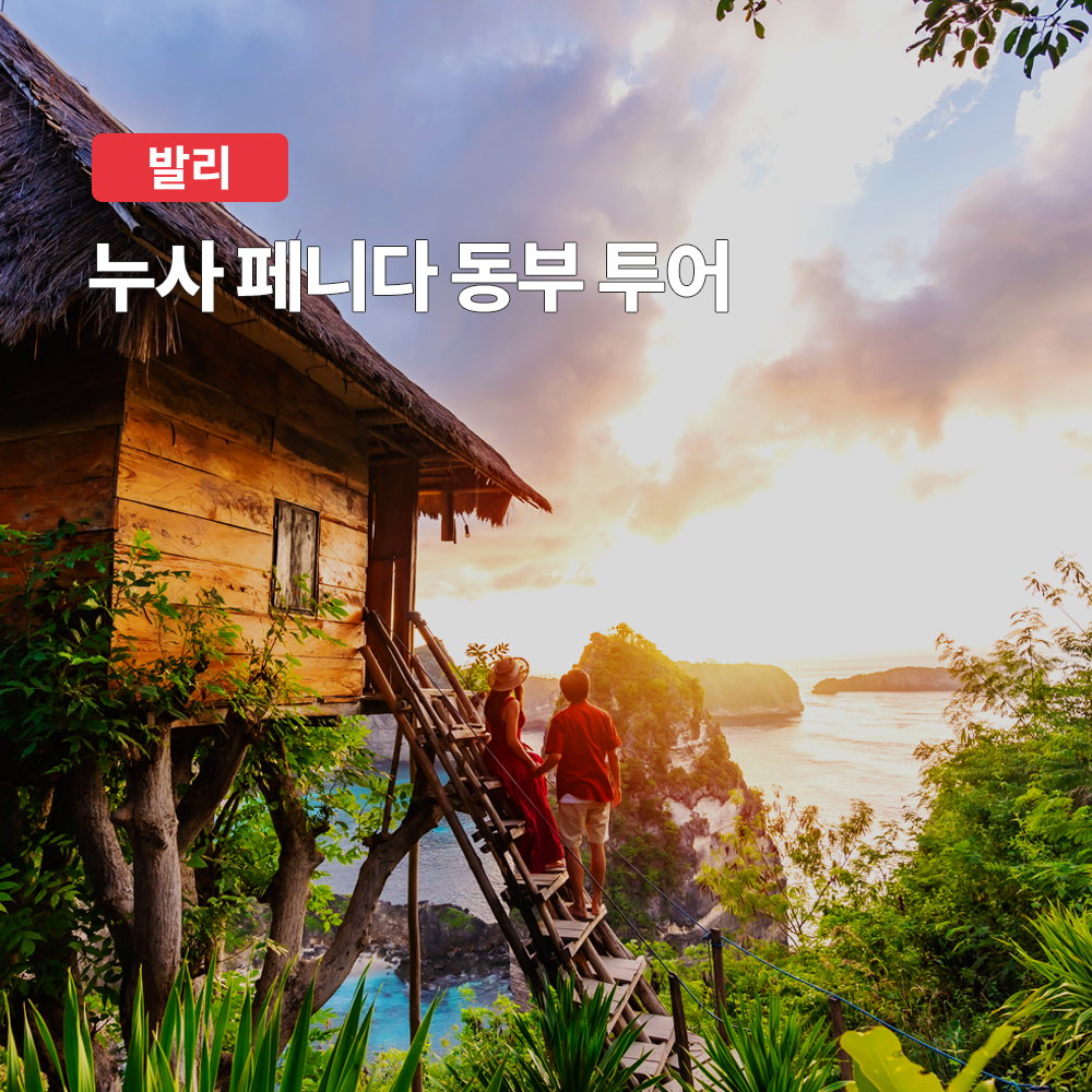 발리 누사페니다 동부 프라이빗 투어 (숙소 픽드랍 포함)