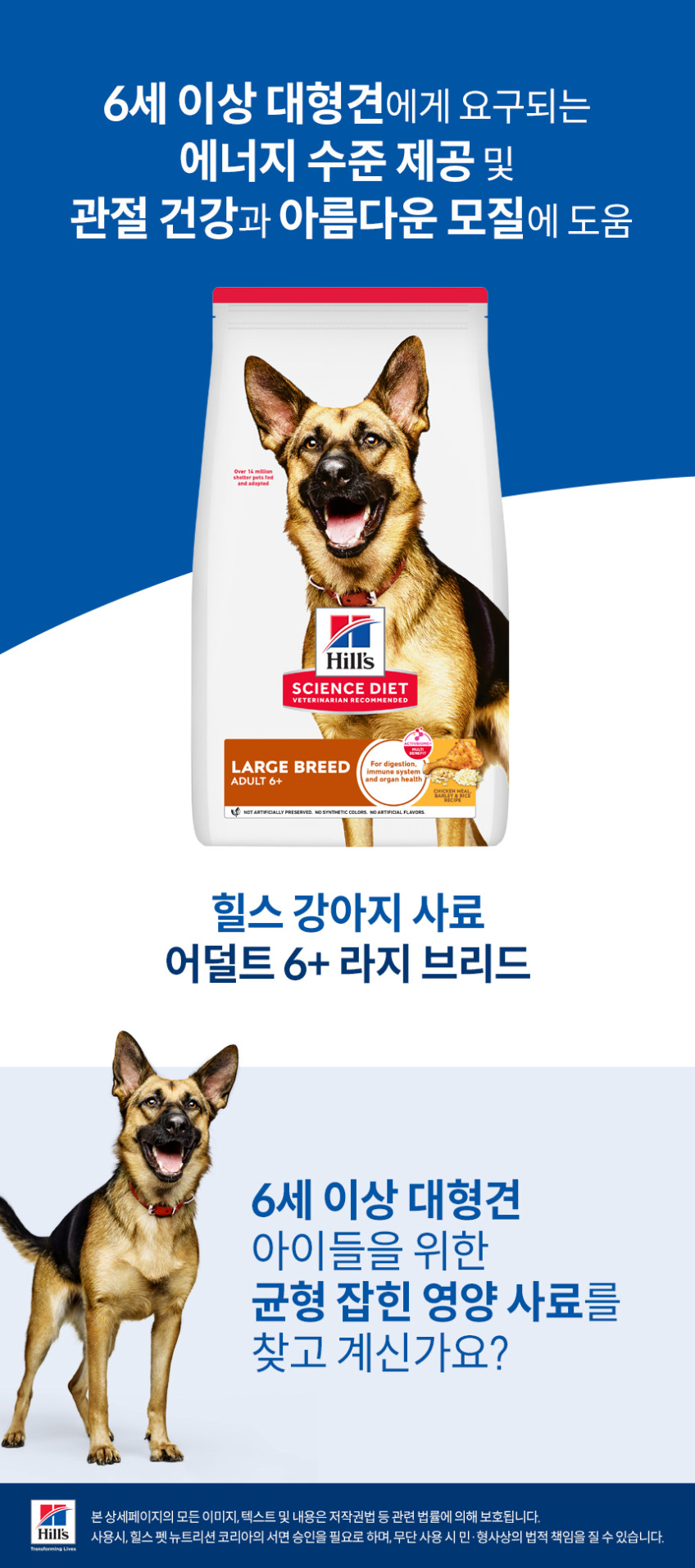 힐스 강아지사료 대형견용 6+ 라지브리드 시니어 12kg 판매처 상세 정보 이미지 4