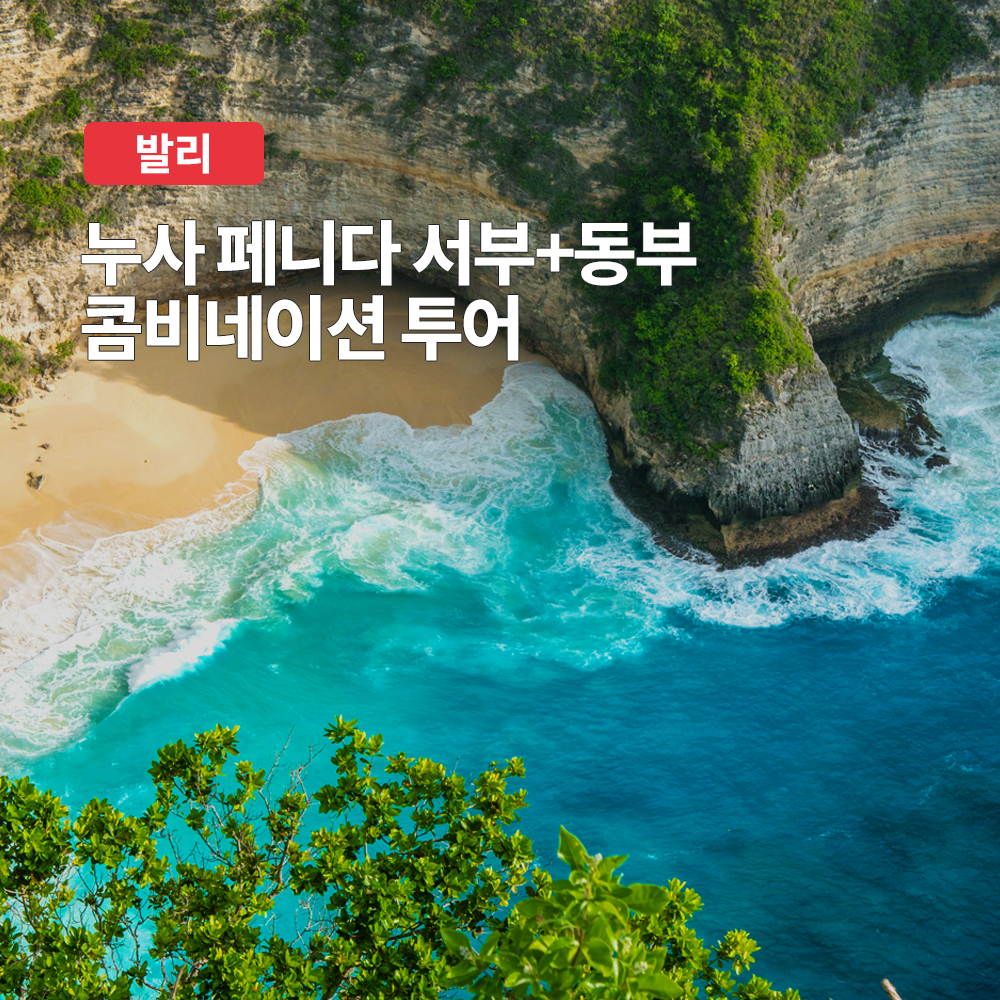 발리 누사페니다 서부 동부 콤비 프라이빗 투어 (숙소 픽드랍 포함) - 메인 이미지