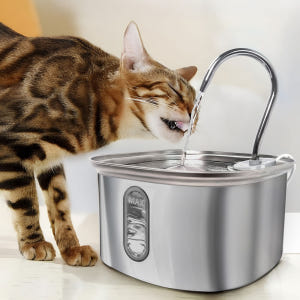 잼피 스테인리스 강아지 고양이 3리터 자동급수기 펫 정수기 JP-WD10... 솔직 후기 | 실제 사용자 리뷰 총정리 - 상품 이미지 3