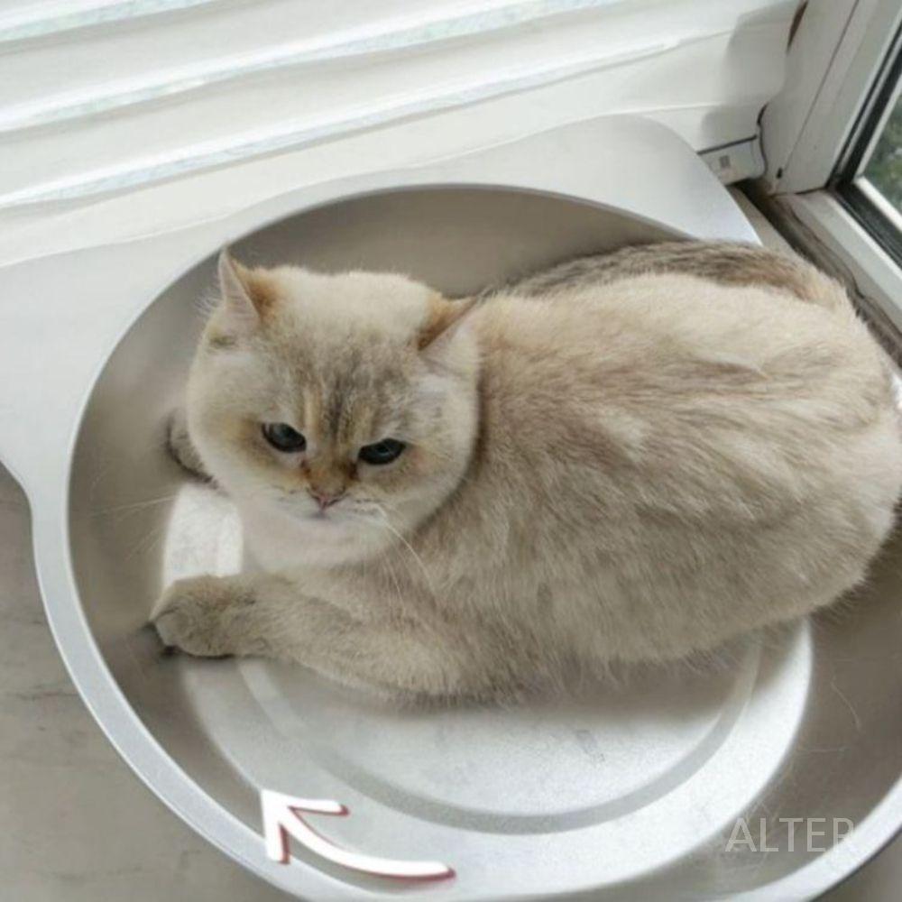 고양이 강아지 더위 집 쿨 하우스 냉각 더울때 바구니 플랫+고양이 귀 S 직경 38cm (5kg 이내) - 상세 이미지 4