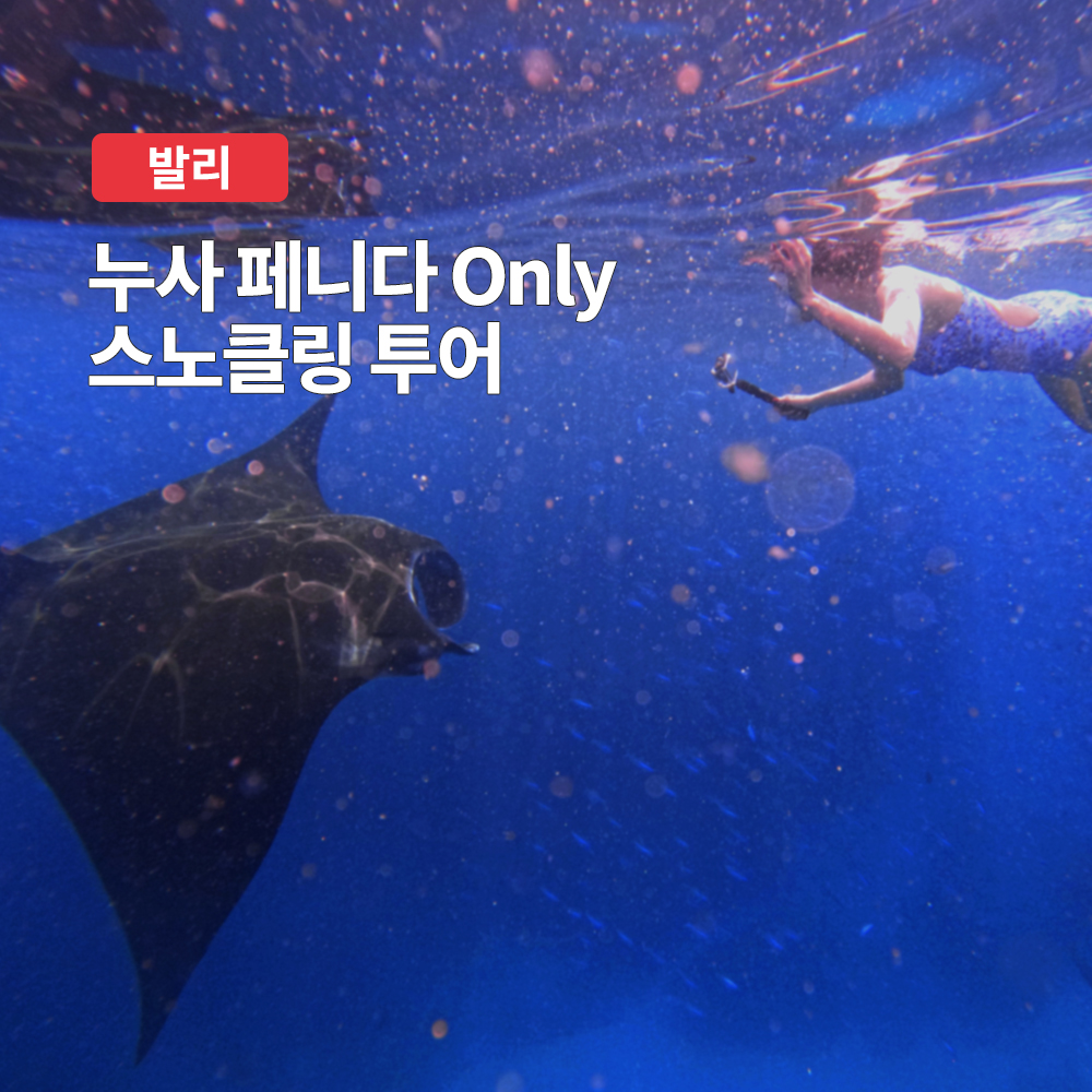 발리 누사페니다 Only 스노클링 투어 (조인or단독 보트 선택, 프라이빗 차량 포함)