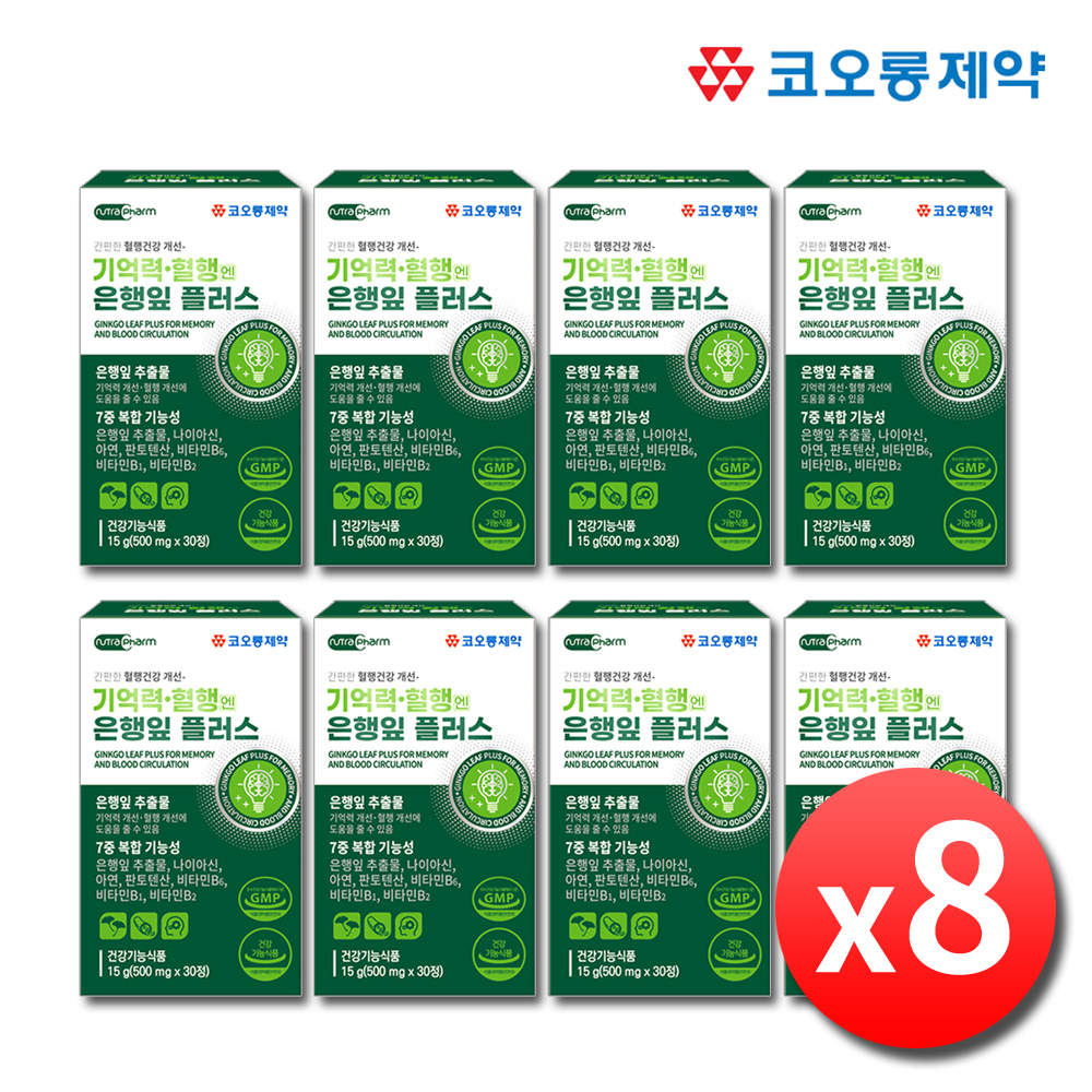 혈액순환 기억력개선 징코플러스 은행잎추출물 영양제 약8개월