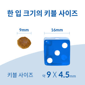 힐스 강아지사료 어덜트 스몰바이트 2kg x 2개 솔직 후기 | 실제 사용자 리뷰 총정리 - 상품 이미지 4