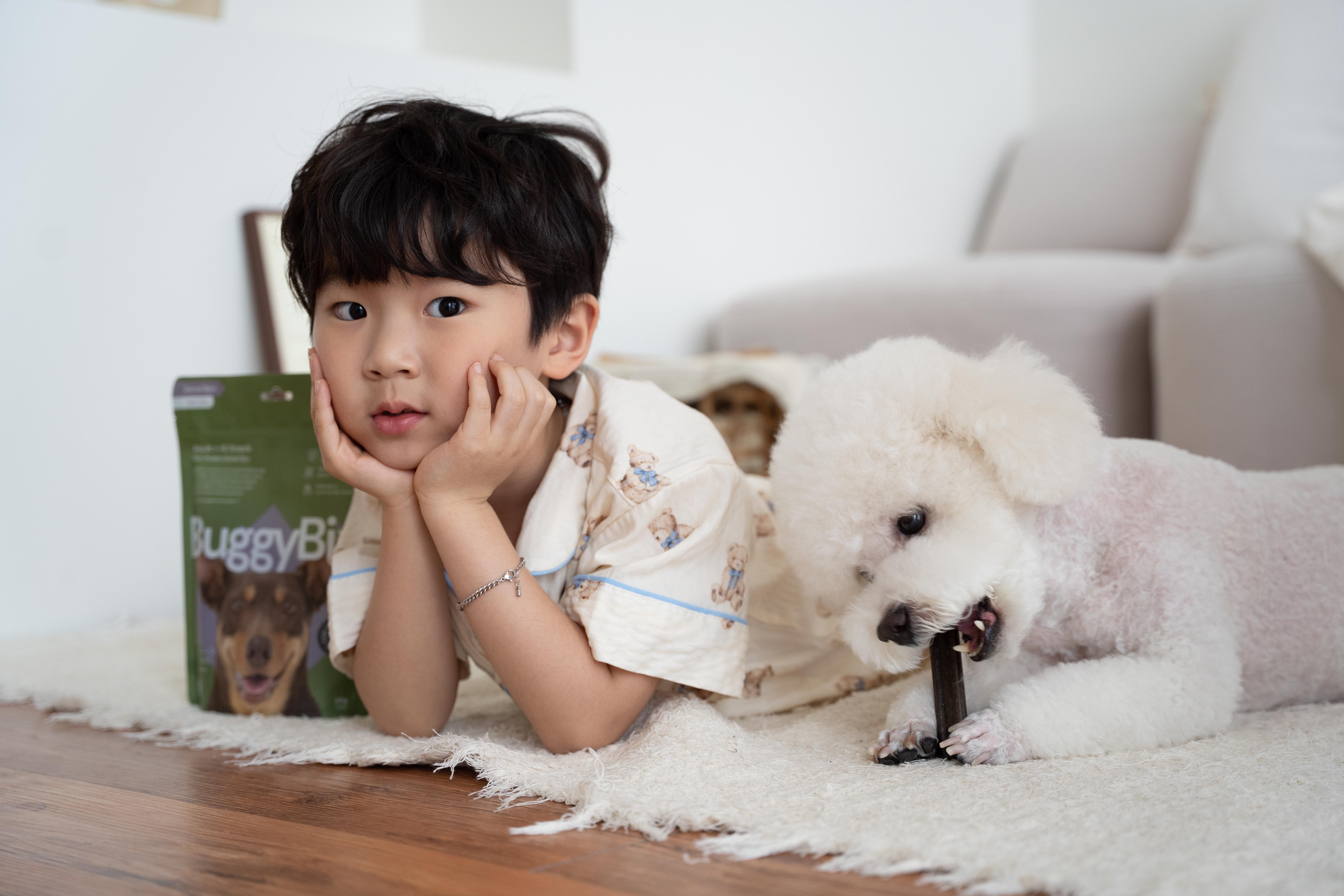 버기빅스 저알러지 덴탈껌 210g 민트향 입냄새제거 곤충 강아지 양치껌 개껌 치석제거 - 상세 이미지 2