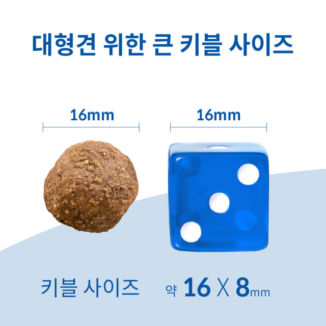 힐스 강아지사료 대형견용 6+ 라지브리드 시니어 12kg