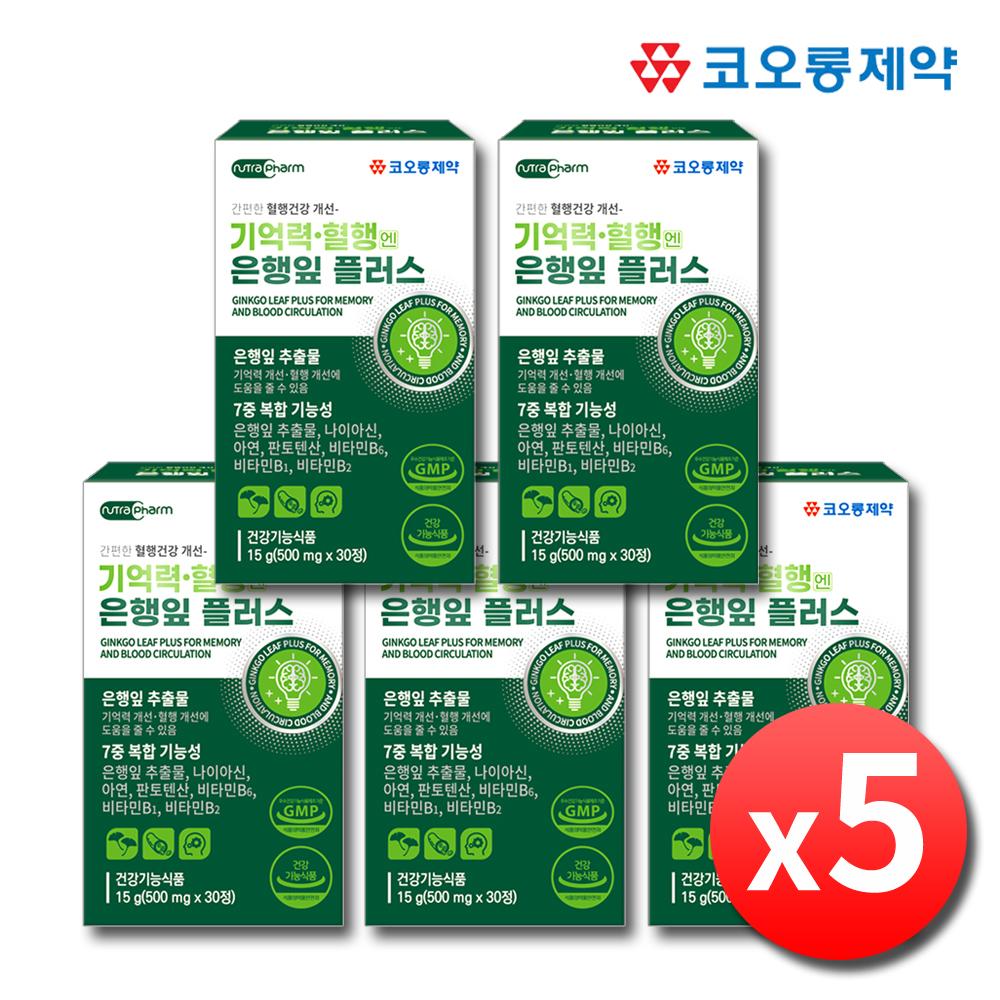 혈액순환 기억력개선 징코플러스 은행잎추출물 영양제 약5개월