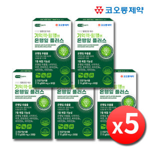 혈액순환 징코플러스 영양제 은행잎추출물 30정, 5개 맛있게 먹은 솔직 후기 - 상품 이미지 1