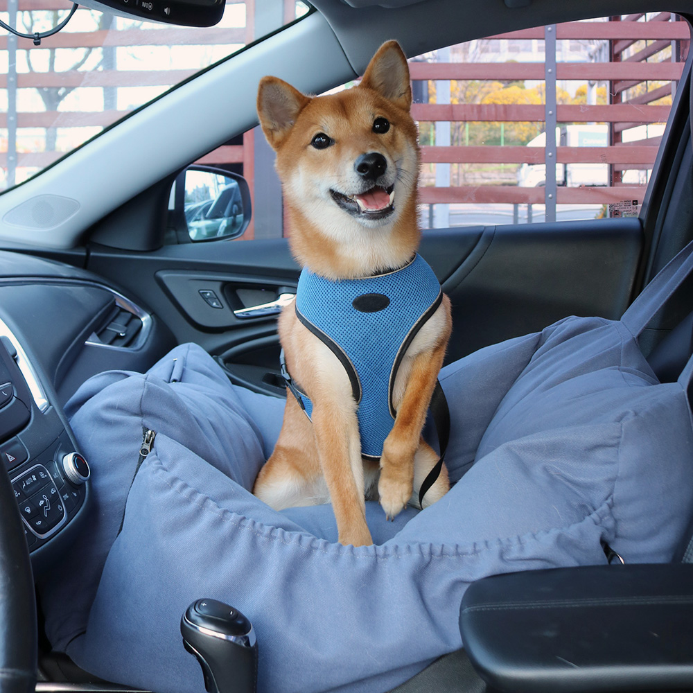 개과천선 루시 강아지 애견 카시트 드라이빙킷 사계절 고급 차시트