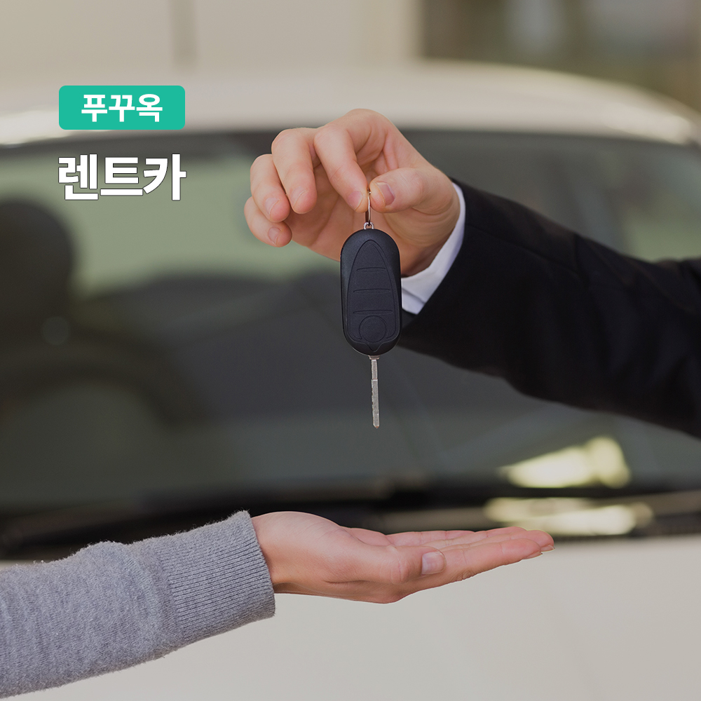 푸꾸옥 프라이빗 렌트카 (기사포함 단독차량 자유일정)