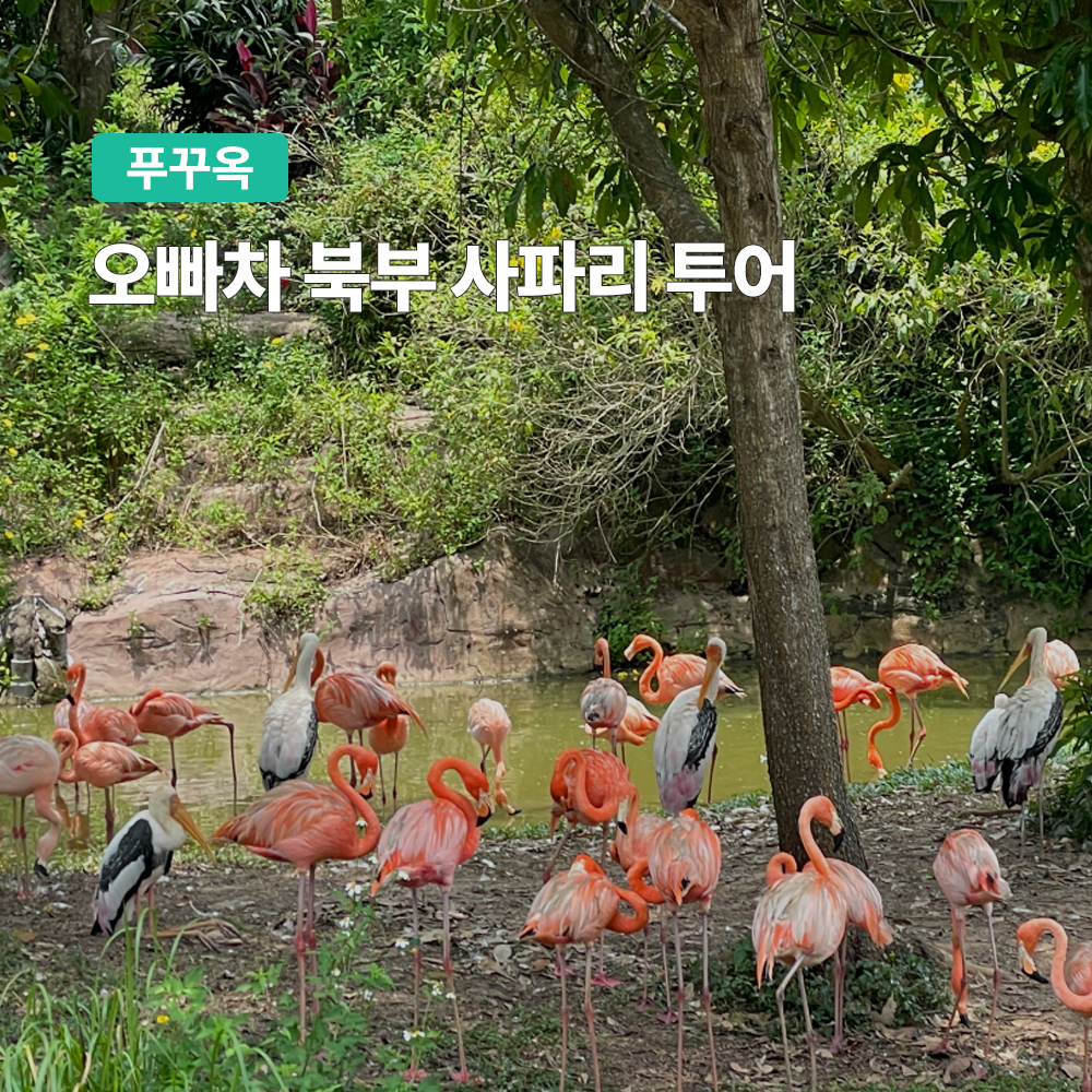푸꾸옥 오빠차 북부 사파리 투어 (마사지 90분 단독투어) - 상품 이미지