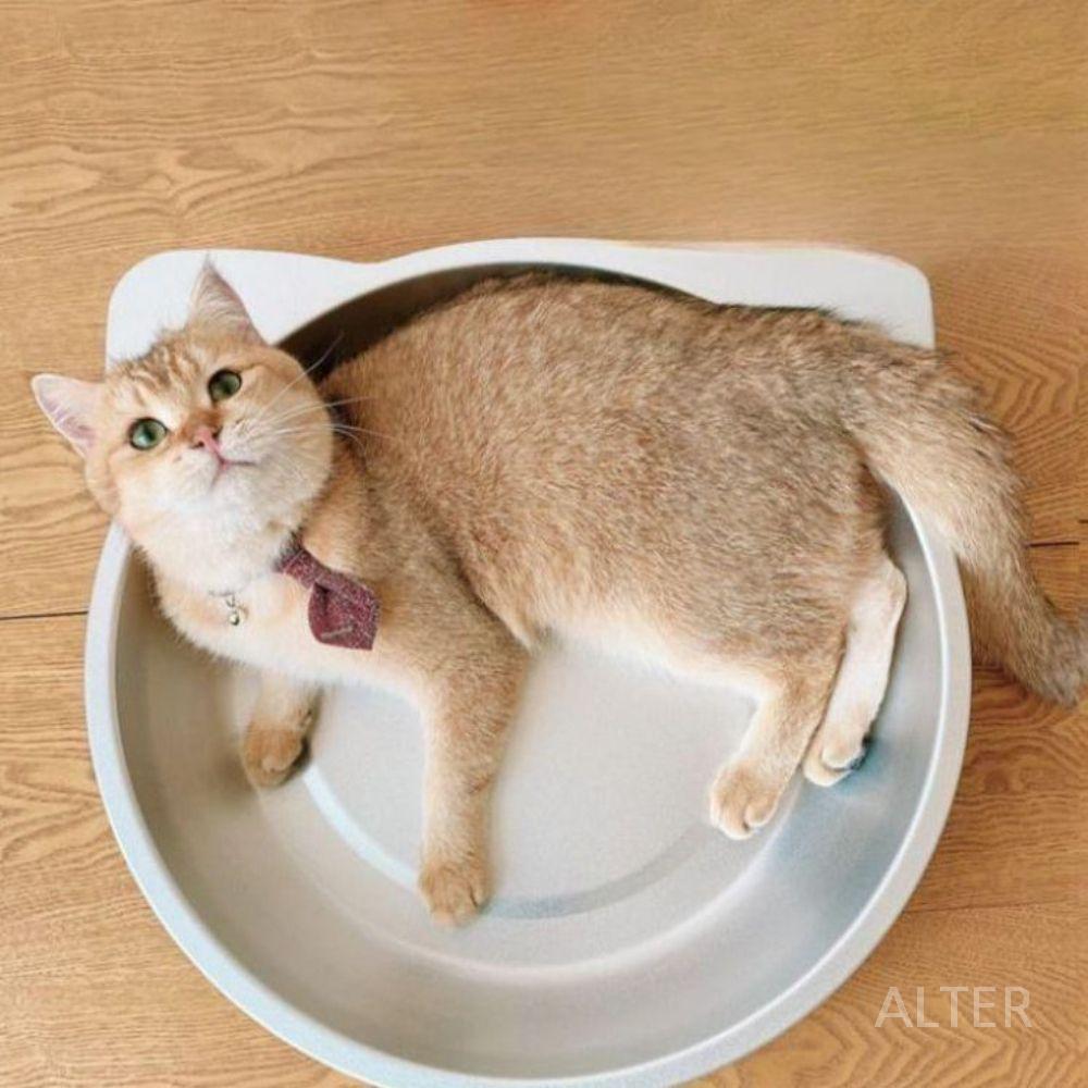 고양이 강아지 더위 집 쿨 하우스 냉각 더울때 바구니 플랫+고양이 귀 S 직경 38cm (5kg 이내) - 상세 이미지 2