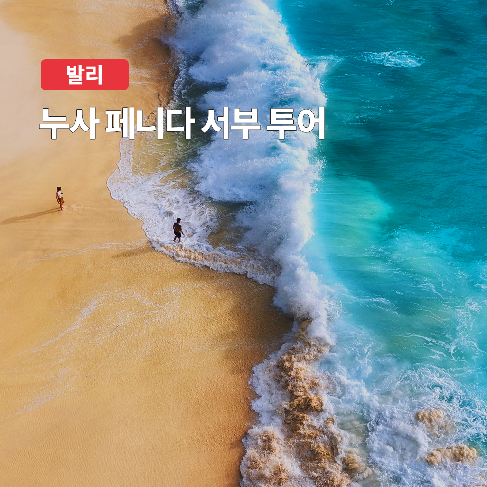 발리 누사페니다 서부 프라이빗 투어 (숙소 픽드랍 포함) - 메인 이미지