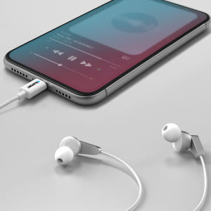 블라우풍트 커널형 유선이어폰 Hi-Fi 고음질 C타입 줄이어폰 마이크 화... 개봉기 | 실사용 후기 - 상품 이미지 3