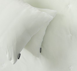 레노마 홈 시원한 쿨 소재 냉감 베개커버 모음전 프리냉감 라이트그린, 50x70cm