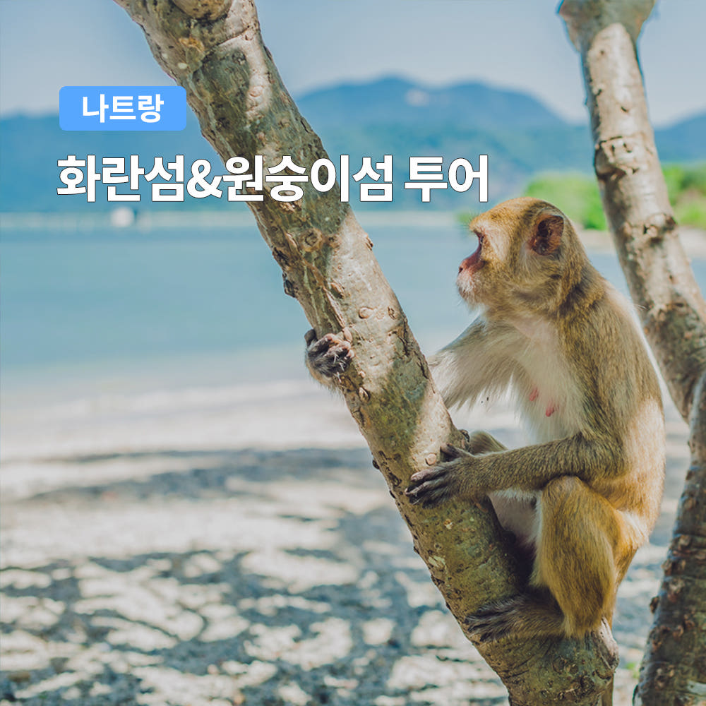 나트랑 화란섬 원숭이섬 투어 스피드보트 동물원 픽업샌딩포함 가격 비교 트립온 TripOn 나트랑 화란섬 원숭이섬 투어 스피드보트 동물원 픽업샌딩포함