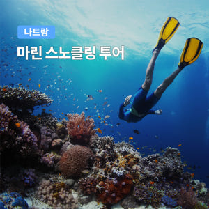 나트랑 마린 스노쿨링 호핑투어 (한국인 가이드 스쿠버다이빙 프리다이빙) 솔직 후기 | 실사용자 리뷰 분석 - 상품 이미지 1
