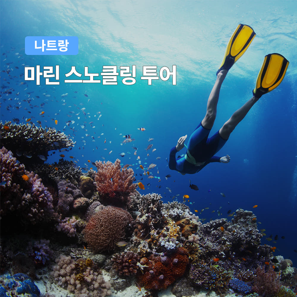 나트랑 마린 스노클링 투어 한국인가이드 호핑투어 가격 비교 트립온 TripOn 나트랑 마린 스노클링 투어 한국인가이드 호핑투어