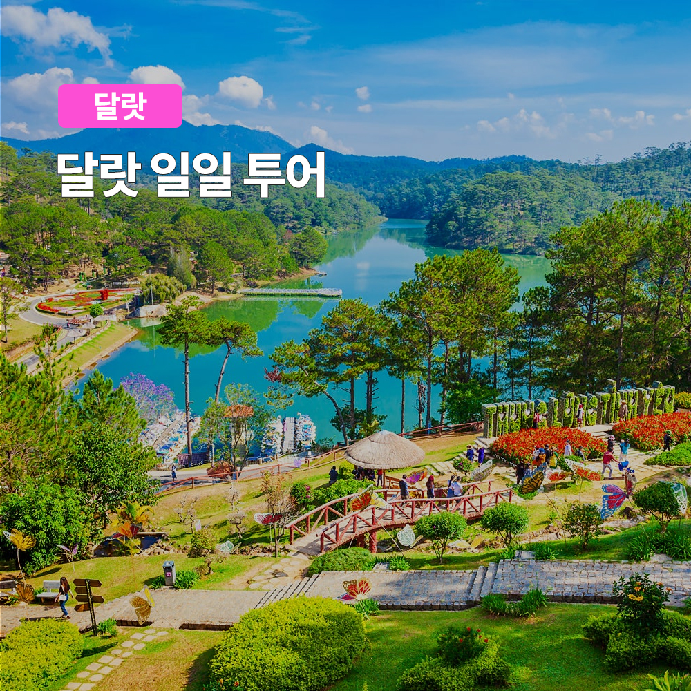 달랏 나트랑 출발 달랏투어 일일투어 한국인 가이드 동행