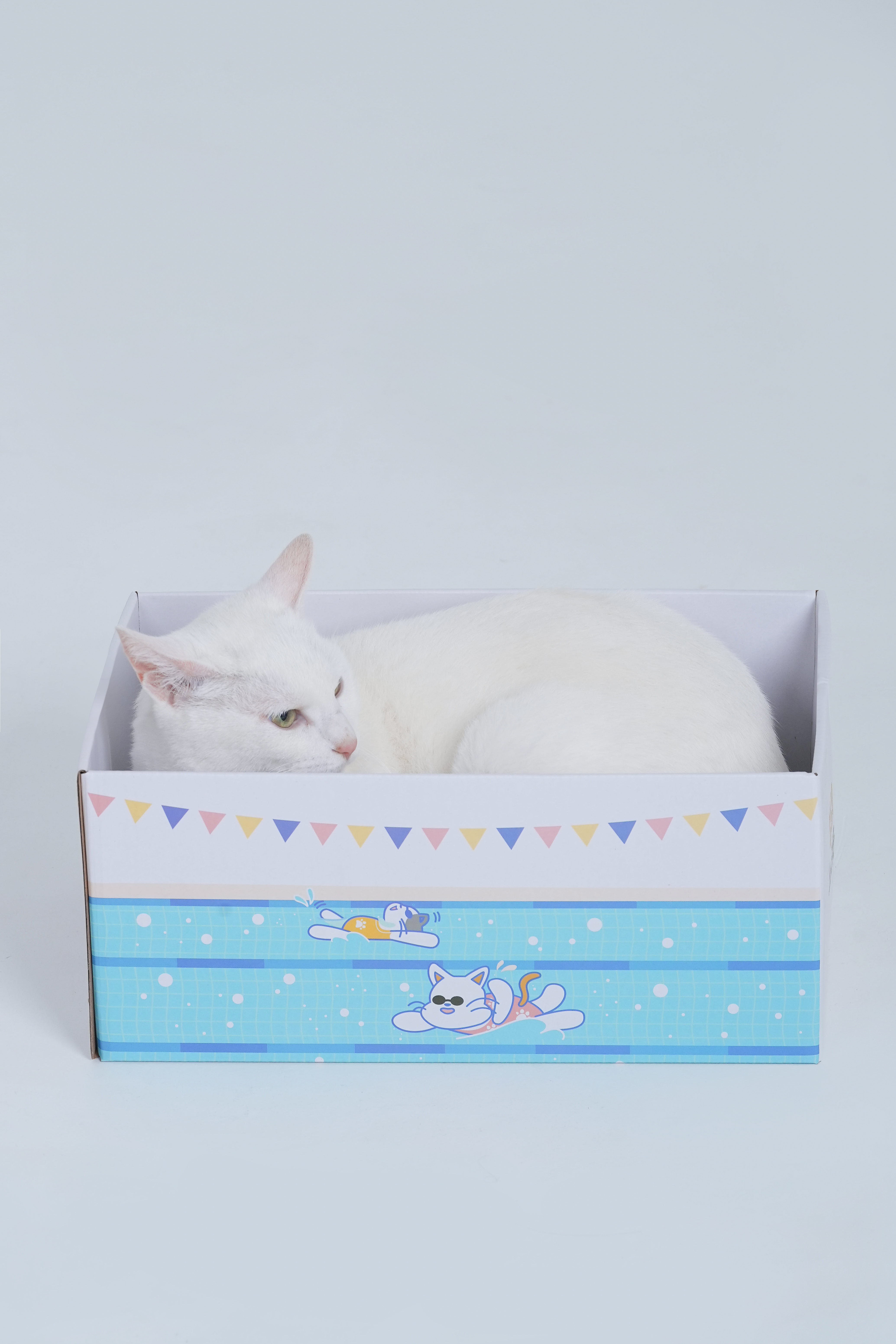 멍냥이노리터 고양이 박스 스크래쳐 - 상세 이미지 3