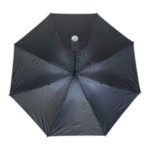 bmw 우산 장우산 순정 골프 대형 검정 암막 자동 운동러 솔직 후기 | 실사용 리뷰 - 상품 이미지 2