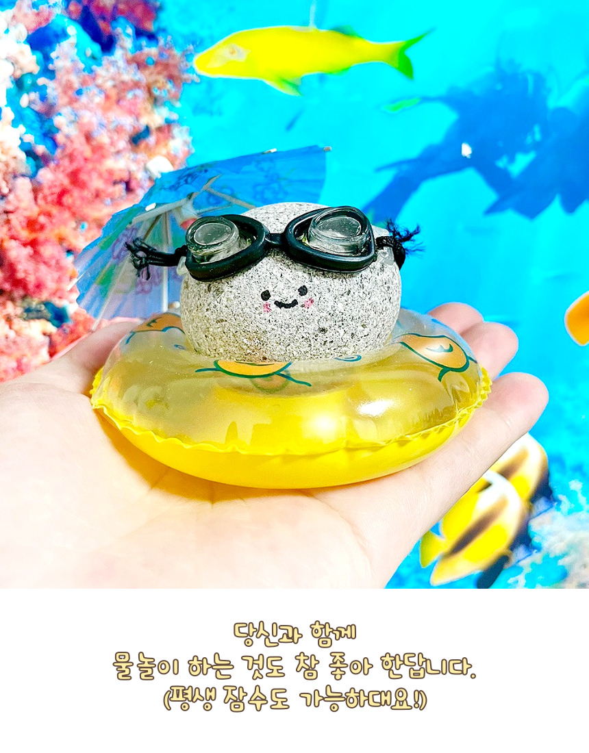 반려돌 애완돌 반려석 애완석 돌 돌멩이 돌맹이 키우기 어린이날 조카 선물 방울모자 똘이 - 상세 이미지 5