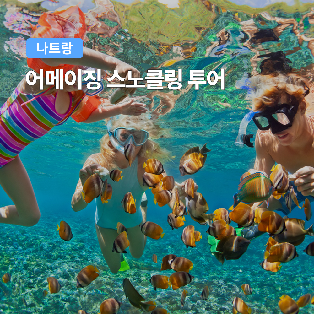 나트랑 스노쿨링 어메이징 호핑투어 (스쿠버다이빙 제트스키 패러세일링)
