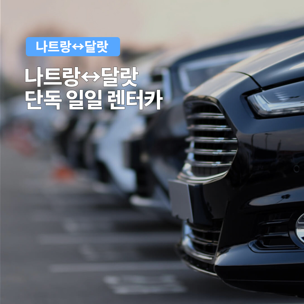 나트랑 출발 달랏 렌트카 프라이빗 차량 택시투어 일일투어 기사포함 단독차량 상품 이미지