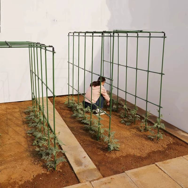 넝쿨식물 지지대 오이 원예 지주대 줄기 원예용 펜스 11직경 120x60x120 특대 - 상세 이미지 3