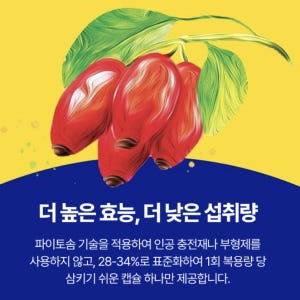 엔자이메디카 흡수율 9.6배 향상 파이토좀 베르베린 파이토솜 60캡슐 6... 맛있게 먹은 솔직 후기 - 상품 이미지 4