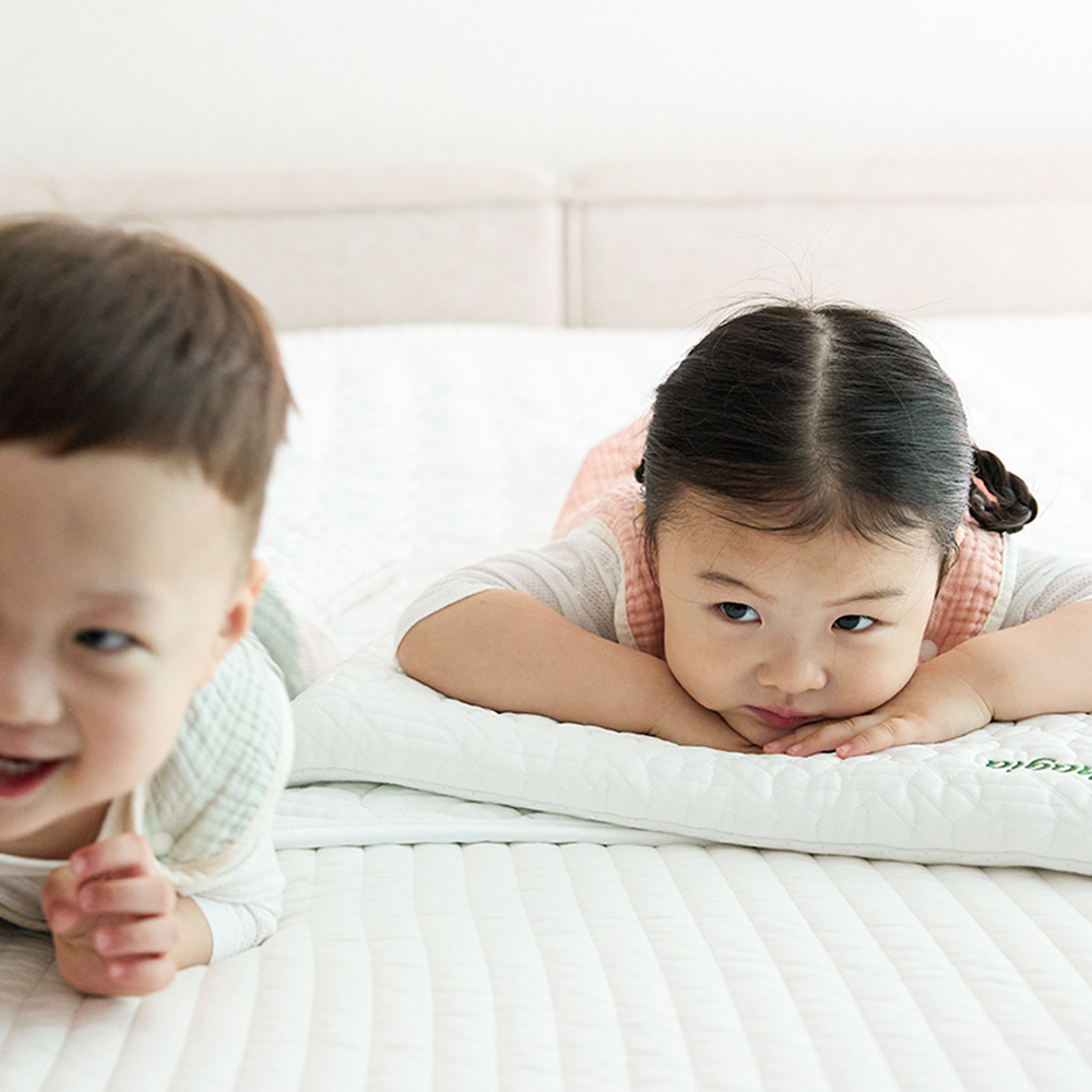 바하기아 4계절 영유아 침구 항균 소취 냉감  배게 패트 2종 선물세트