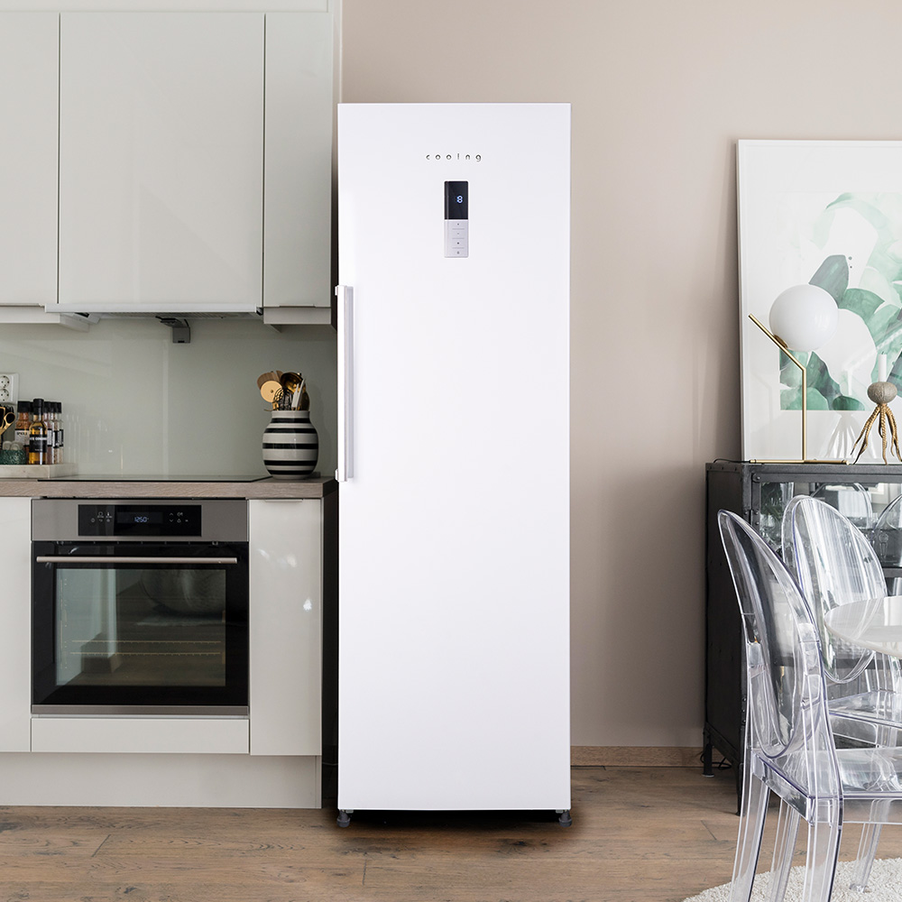 쿠잉 스탠드 냉동고 FR-N280 서랍형 소형 가정용 원룸 음쓰 화이트