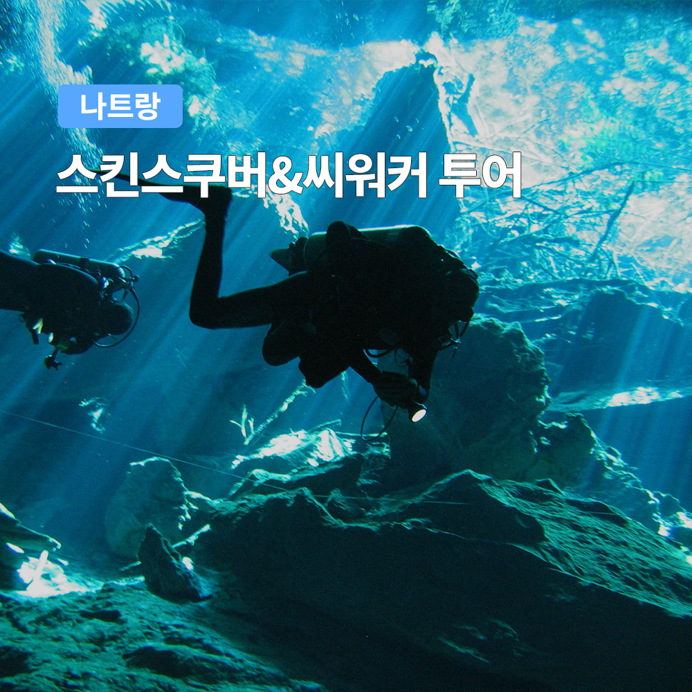 나트랑 스쿠버다이빙 & 씨워커 투어 (스킨스쿠버 전문가이드) - 메인 이미지