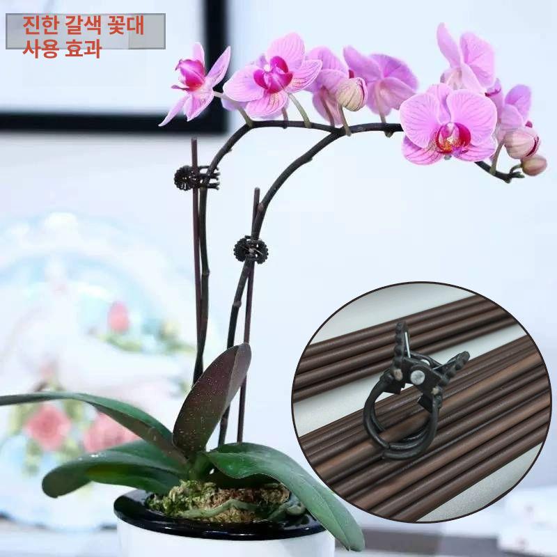 넝쿨 집게 지지대 호박 클립 포도 아치 줄기 식물 덩쿨 갈색 10개 - 상세 이미지 4