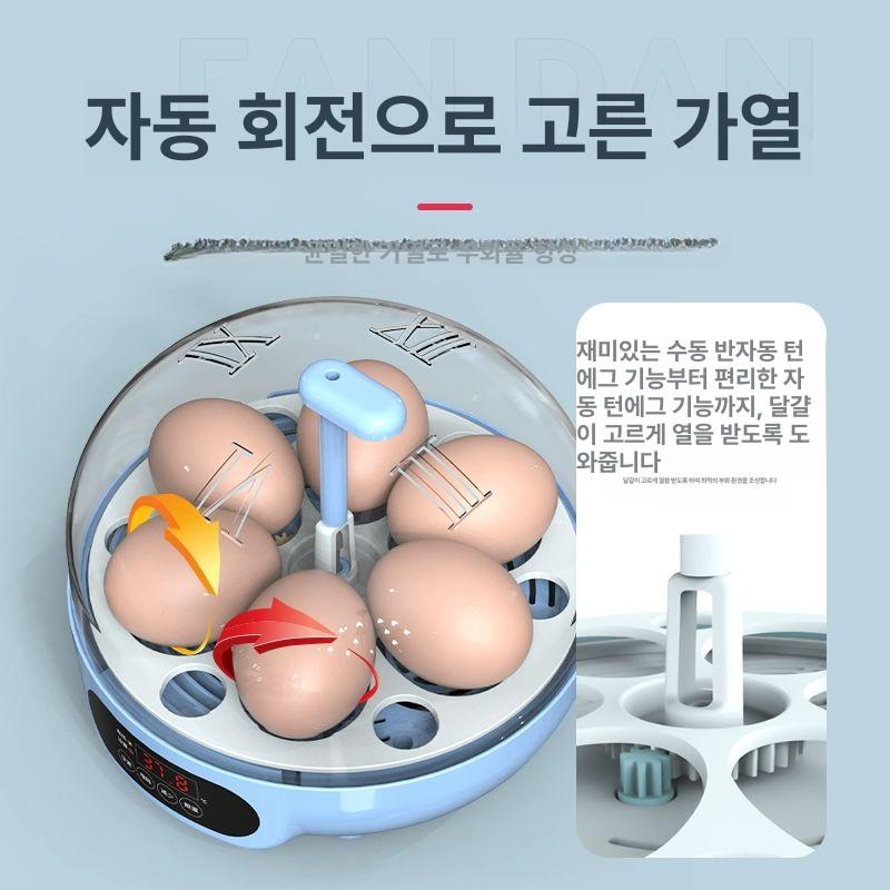 스마트 병아리부화기 자동 5구 회전 미니 4구 6구 4 과학 블루 매뉴얼 4개 반자동 - 상세 이미지 4