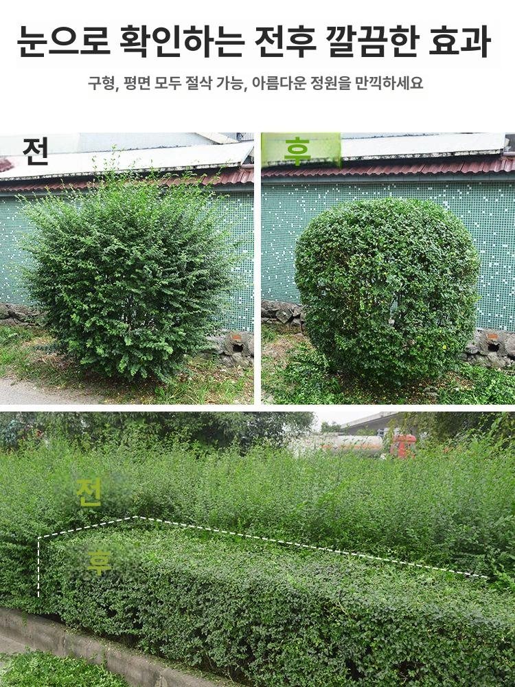 찻잎트리머 차 따는기계 따는 다듬기 절단기 수확기 직도 쌍날 24V 무브러시 배터리 필요 - 상세 이미지 4