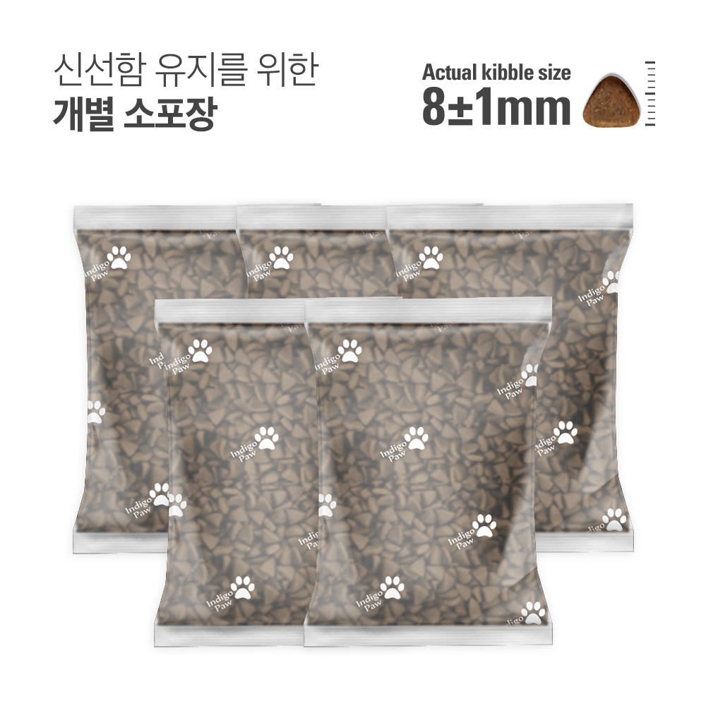 인디고 면역 앤 하이포알러제닉 인섹트 포 독 1kg 바이오 뉴트리션 강아지사료 - 상세 이미지 4