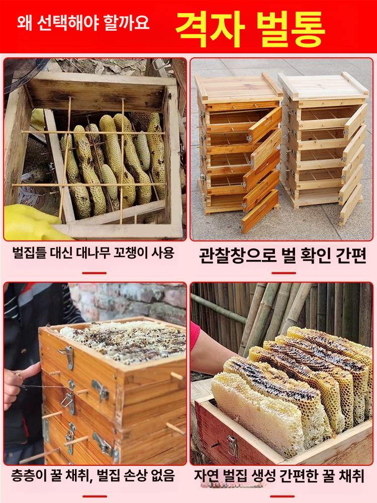 토종 벌통 환태통 나무 벌집 벌꿀집 사각 채집통 양봉틀 5단 A - 상세 이미지 3