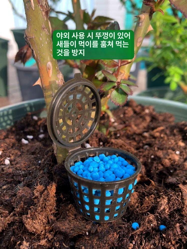 알비료 케이스 화분 대용량 가드닝 난초 다육 원예용 구형 비료통-소형 녹색-5개 - 상세 이미지 3