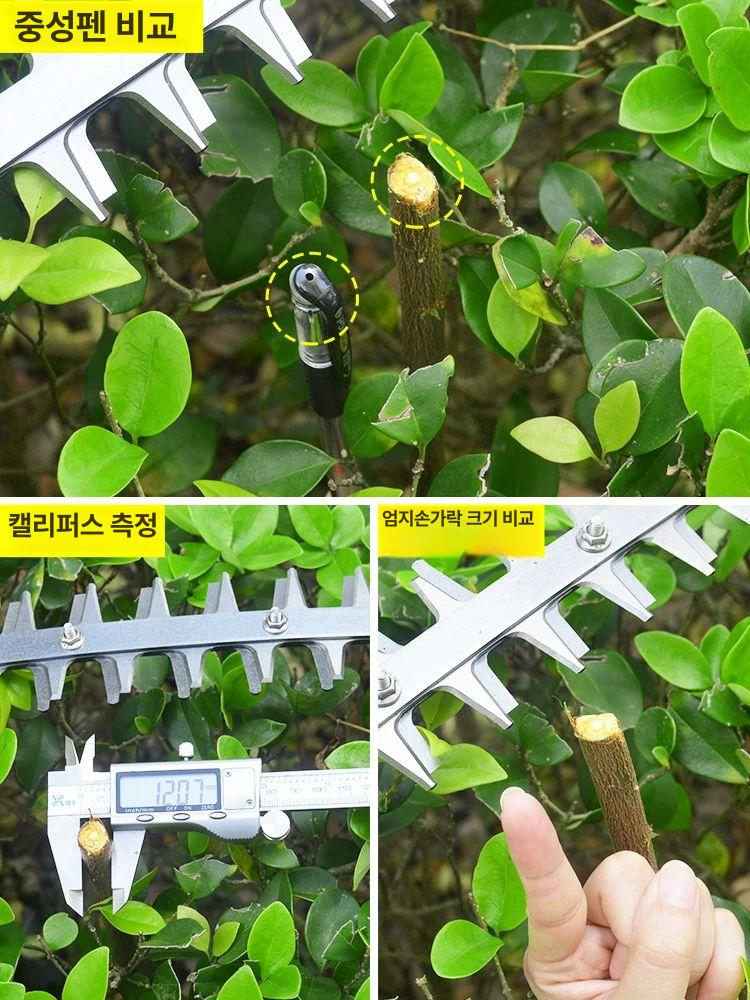 찻잎트리머 차 따는기계 따는 다듬기 절단기 수확기 직도 쌍날 24V 무브러시 배터리 필요 - 상세 이미지 3
