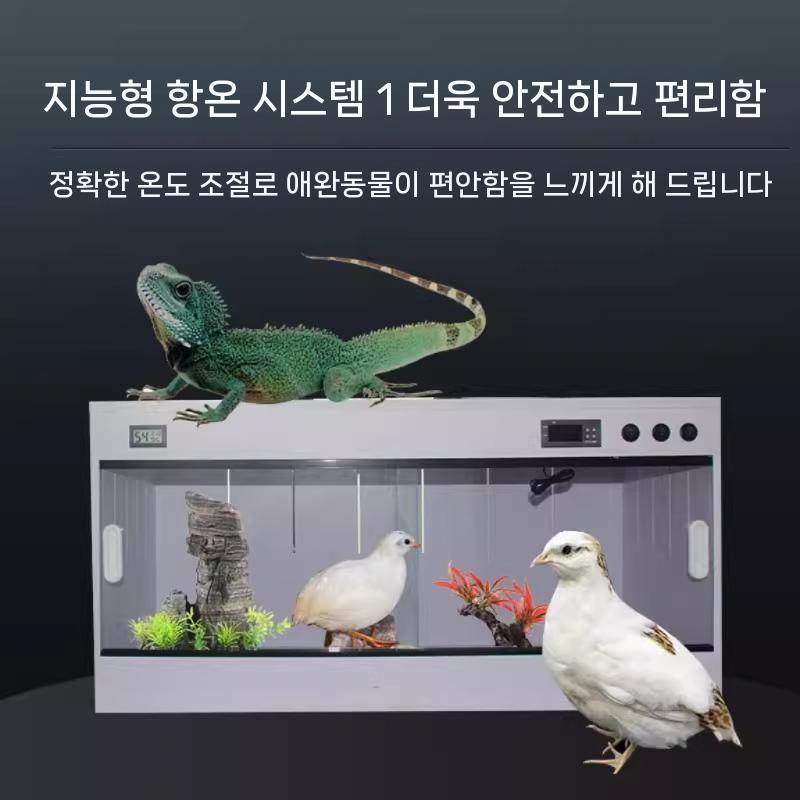 집 개구리 대형 육지거북이사육장 키우기 소동물 쉼터 - 상세 이미지 3