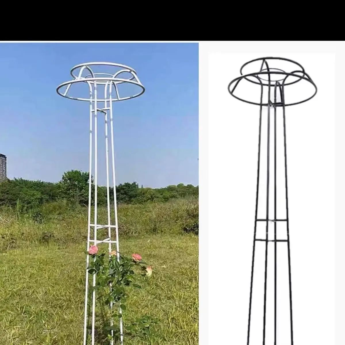 능소화지지대 정원 꾸미기 덩쿨 장미 나팔꽃 가드닝 철제 블랙 - 상세 이미지 4