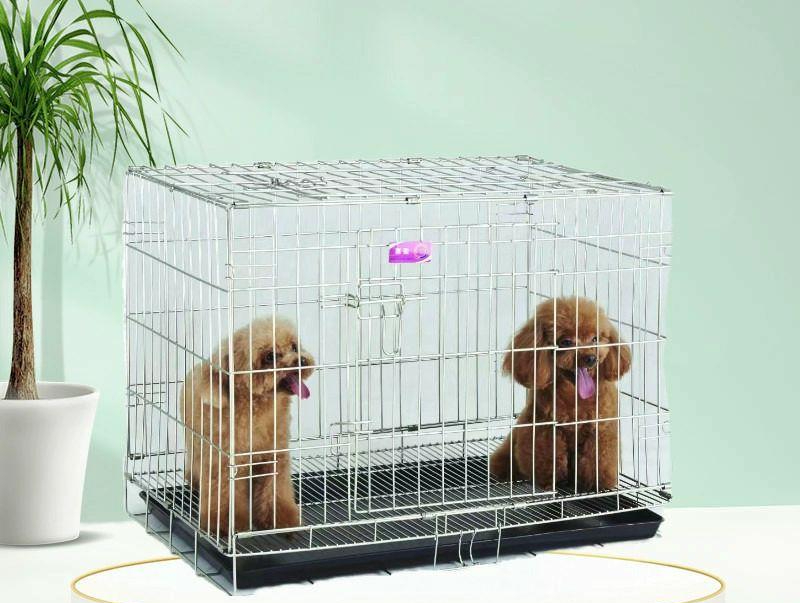 스테인레스 애견 접이식철망 강아지 중형견 야외 고양이 1.5 - 상품 이미지