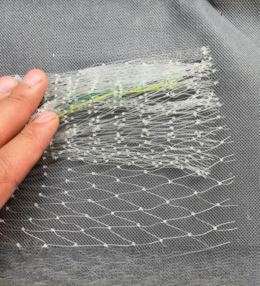 블루베리 방조망 과일 체리 장벽 조류 그물 새그물망 2.5cm-3mx5m - 상품 이미지