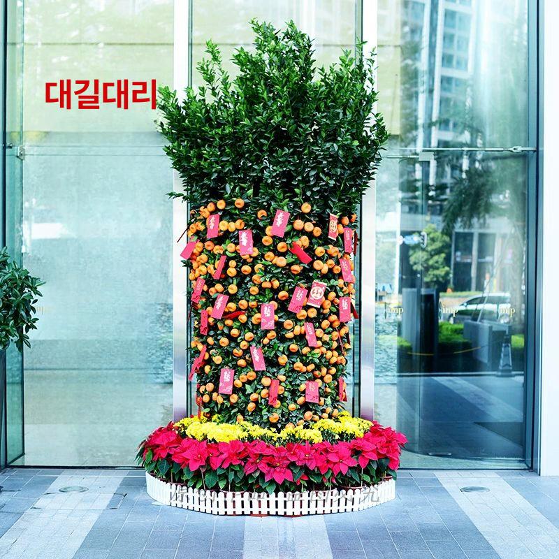 마당 담장 플라스틱 테두리 전원주택 옛날 휀스 조립식 높이 12 cmx 길이 50 cm 베이스 제외 중간 - 상세 이미지 3