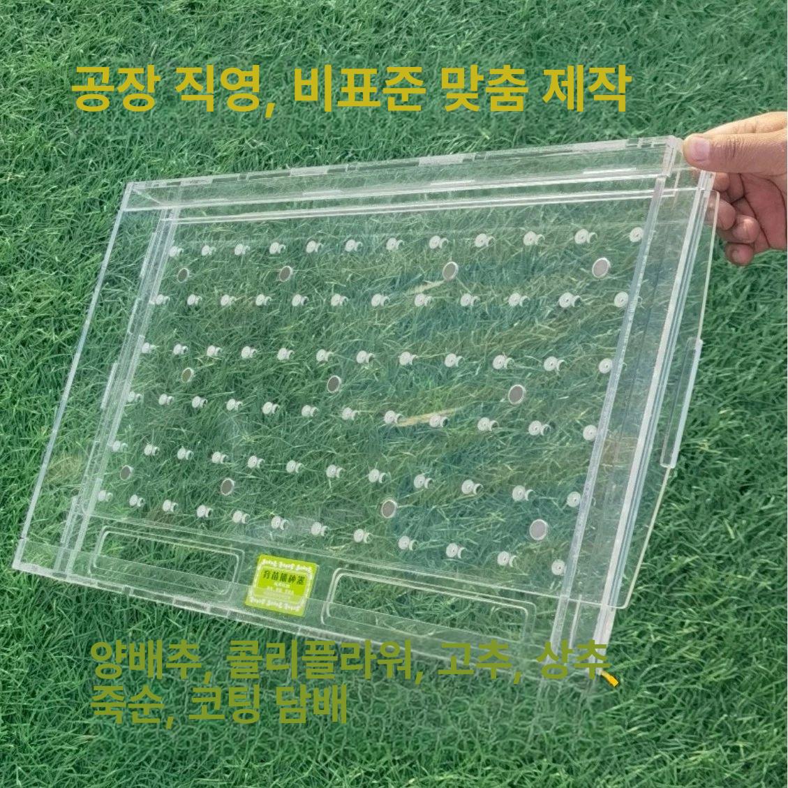 트레이 파종기 양파 참깨 들깨 원예 씨앗판 50홀 50구멍 포장 배추 - 상세 이미지 2