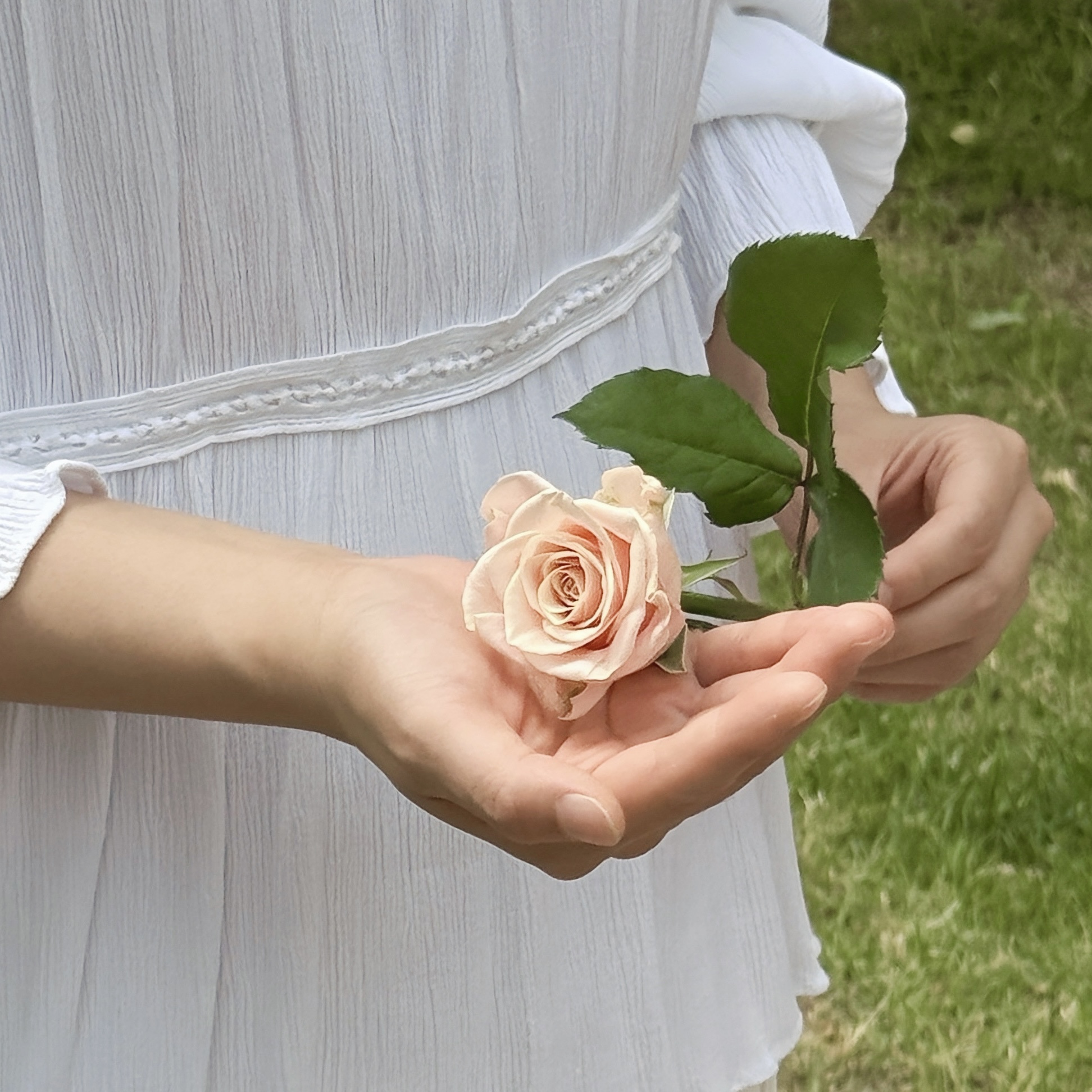 리도르 감성 생화 한 송이 포장꽃 장미 거베라 꽃꾸 감사 생일 선물용 택배 - 상세 이미지 2